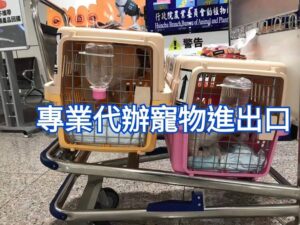 寵物大陸回台灣