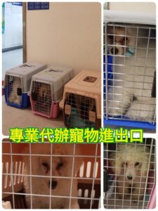 寵物到菲律賓