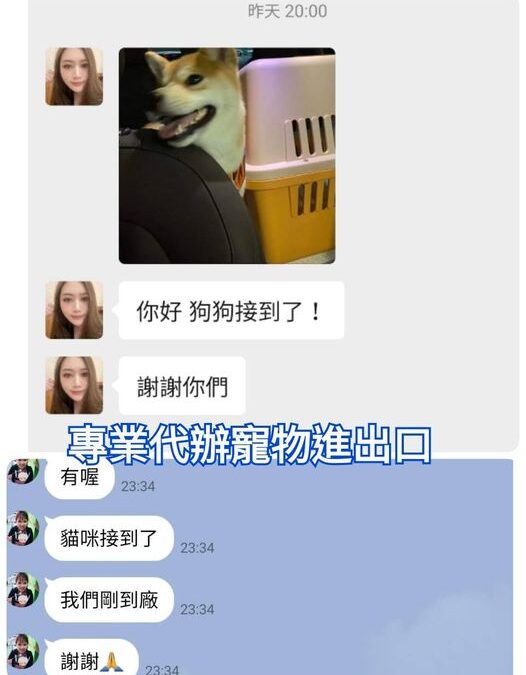 寵物到大陸